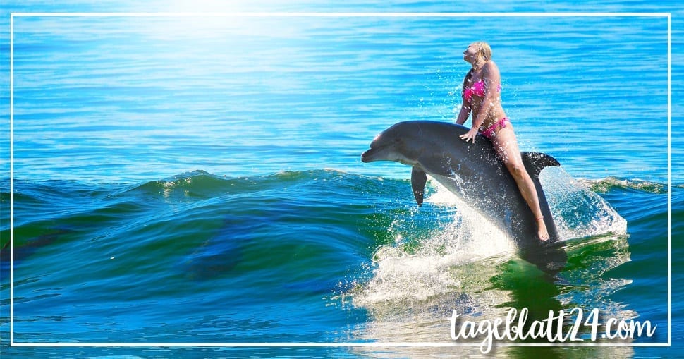 Mädchen im TUI-Urlaub in Mexiko von Delfinen angegriffen